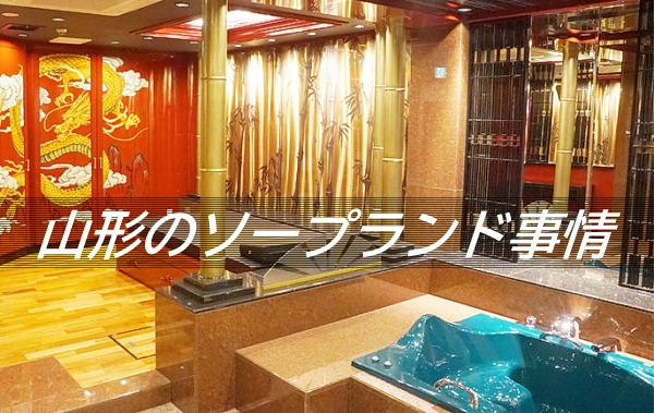 �R�`�̃\�[�v